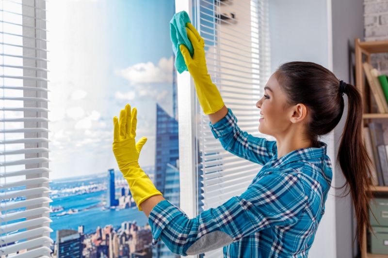 Business Window Cleaning